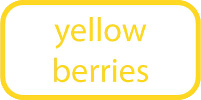 yellow berries